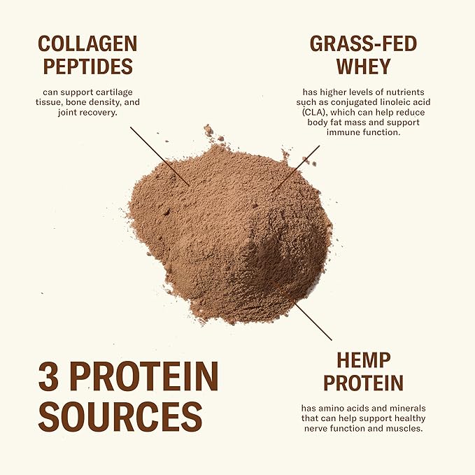 Ballerina Farm Grass Fed Whey Protein Powder Creamy Chocolate 24g Protein with Collagen Peptides Bovine Colostrum Hemp Hearts Prebiotic Fiber No Added Sugar or Artificial Ingredients 20 Servings
