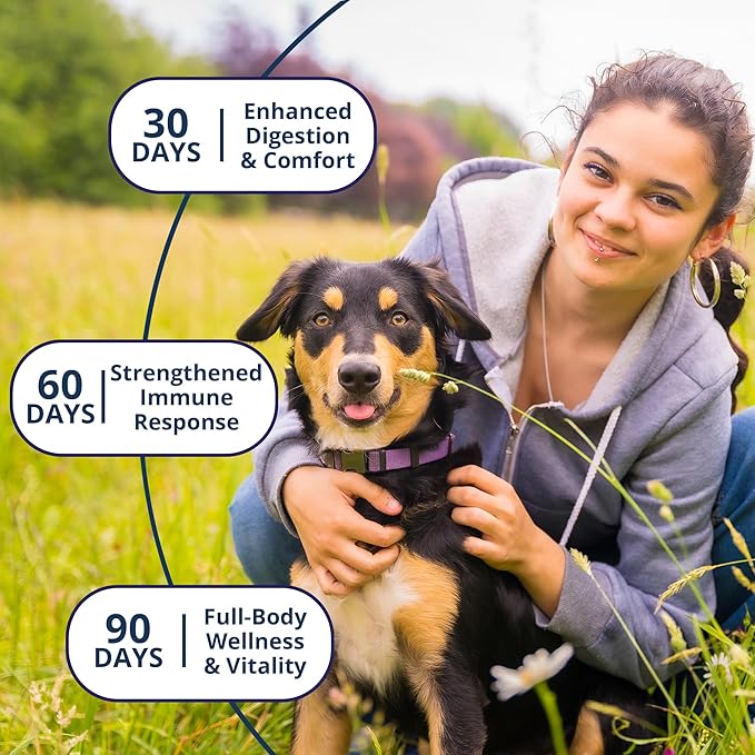 NOVEHA Probiotic Chews for Dogs | Ultimate Gut Health &amp Digestive Support | for Healthy Skin &amp Coat | Relieves Itching &amp Paw Licking | Probiotics for Pet Dogs with Allergies (180 Chews 2-P