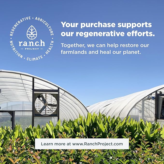 Ancient Nutrition Probiotics for Men SBO Probiotics Men's 60 Ct for Gut Health Digestive and Immune Support Boosts Muscle Mass and Fat Metabolism 25 Billion CFUs* Per Serving