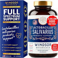 Lactobacillus Salivarius Probiotic - 24bn CFU L Salivarius Dental Probiotics for Teeth and Gums - Bad Breath Treatment for Adults Immune Support Digestive Health - 60 Oral Probiotic Capsules