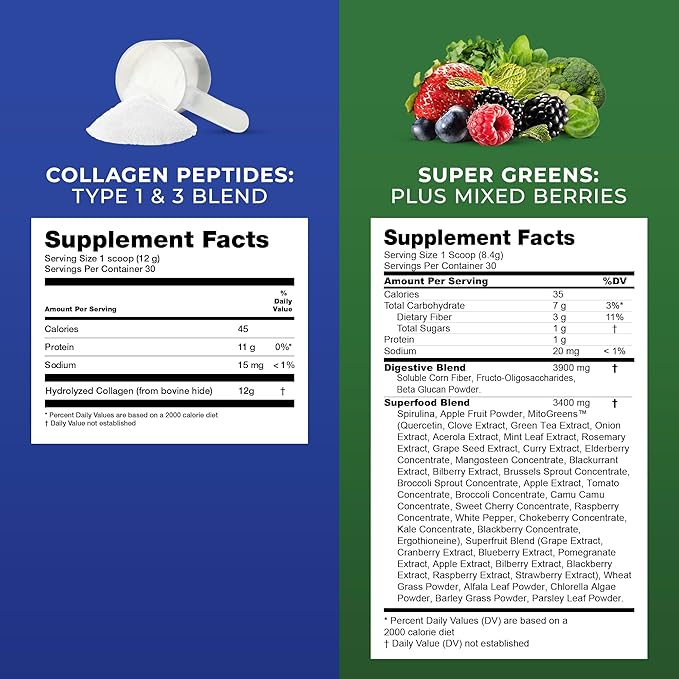 Transformation Vanilla &amp Chocolate Protein Powder | Super Greens Superfood Green Juice Powder | Grass-Fed Hydrolyzed Collagen Peptides Powder | Transformation Performance Shaker BlenderBottle
