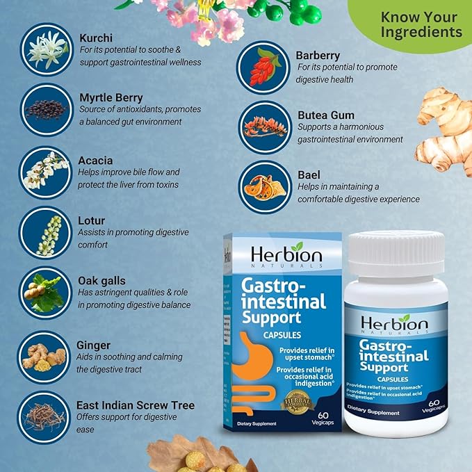HERBION Naturals Gastro-intestinal Support Herbal Blend for Upset Stomach Relief Gastrointestinal Health and Function Occasional Acid Indigestion Healthy Intestinal Flora 60 Vegicaps - Pack of 4