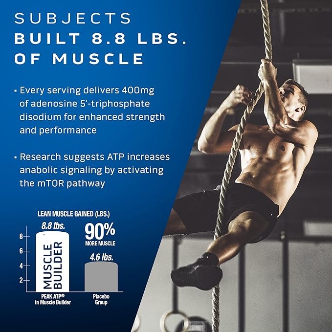 MuscleTech Muscle Builder with 400mg Peak ATP and Platinum Multivitamin with Amino Support Matrix and Vitamin C - Muscle Building and Immune Support Supplement Bundle for Men and Women