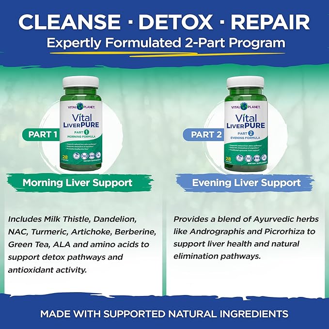 Vital Planet – Vital Liver Pure Liver Cleanse Detox &amp Repair with Milk Thistle NAC Supplement N-Acetyl Cysteine Andrographis Dandelion Turmeric Alpha Lipoic Acid 2-Part 14-Day Kit 56 Capsul