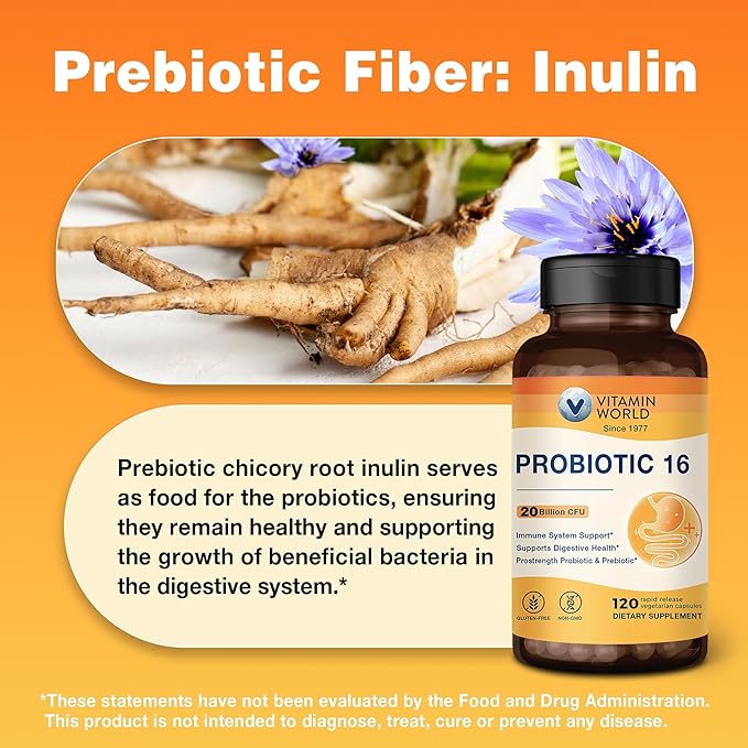 Vitamin World Probiotic 16 20 Billion CFU 16 Strains with Prebiotic Fiber for Digestive &amp Immune Health Probiotics for Women &amp Men Non-GMO Gluten Free 120 Veggie Capsules 60 Day Supply