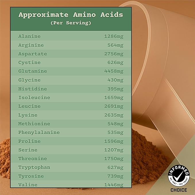Anea Whey Protein Isolate - Mint Chocolate Chip | 26g Protein | 5.8g BCAAs | 2g Carbs| Complete Amino Acids | Gluten-Free Soy-Free | Lean Muscle &amp Recovery | Made in GMP Facility