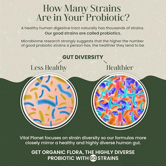 Vital Planet - Organic Flora Probiotics for Senior’s Daily Shelf Stable Probiotic 30 Billion CFU 60 Diverse Strains with Organic Prebiotics for Immune Support and Digestive Health 30 Capsules