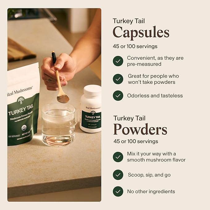 Real Mushrooms Turkey Tail Capsules – Organic Mushroom Extract for Daily Wellness Gut Harmony Energy Support – Vegan Non-GMO No Fillers – Turkey Tail Extract 200 Count Mushroom Supplement