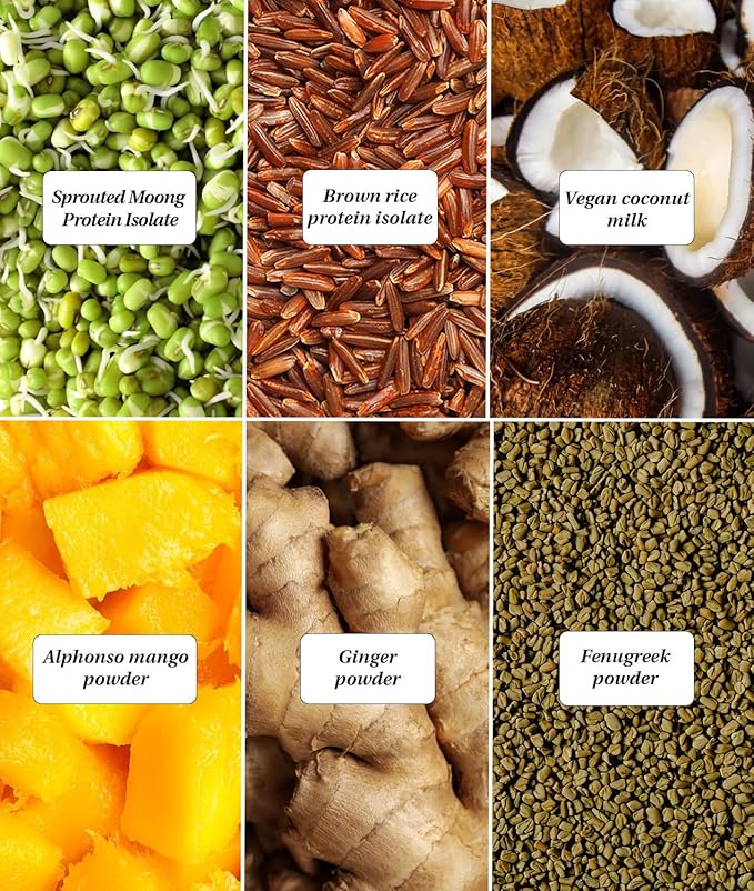 It's Moong Mung Bean &amp Brown Rice Isolate Protein | 24gms per Serve 4.7gms BCAA| Real Alphonso Mango | 500gms | Sprouted Plant Protein | Easy on the Gut Easy Digestibility