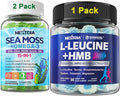 Bundle: Sea Moss Gummies + Algae Omega-3 for Men Women 2 Pack &amp Hmb and L-Leucine Gummies + Electrolyte for Men &amp Women 1 Pack