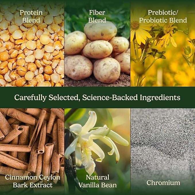Field's Great Plant-Based Protein with Fiber for Muscle Maintenance Vegan Protein Powder Whey Free Gluten Free Dairy Free - 30g of Protein and 5g Fiber in Each Serving (Vanilla -4 Pack)