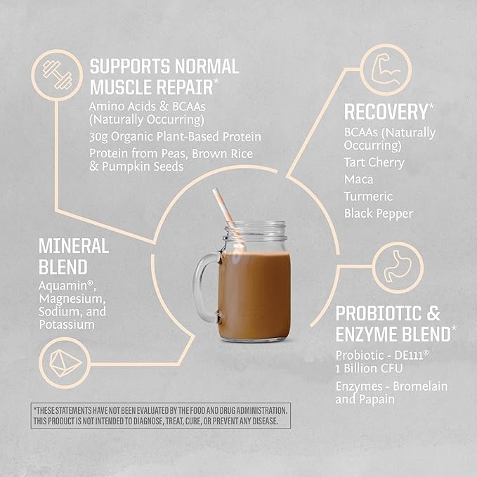 Sunwarrior Creatine Powder &amp Vanilla Active Organic Protein Powder Set | Bundle &amp Save | Vegan Protein Plus Unflavored Creatine Monohydrate (60 Servings Unflavored 20 Servings Chocolate)