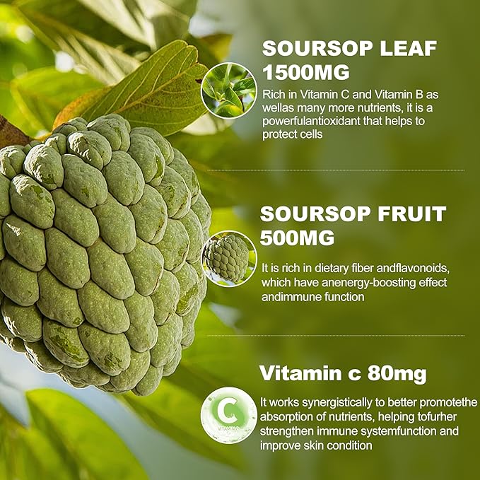 (3 Pack) Soursop Graviola Liquid Drops 2000mgImmune BoostCell Support &amp RegenerationNatural AntioxidantSoursop Extract - 98% Sugar/Gluten Free Natural Flavor 6 Fl Oz