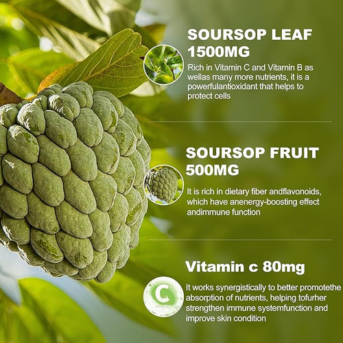 (3 Pack) Soursop Graviola Liquid Drops 2000mgImmune BoostCell Support &amp RegenerationNatural AntioxidantSoursop Extract - 98% Sugar/Gluten Free Natural Flavor 6 Fl Oz