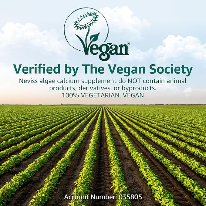 (2 Pack) Calcium Gummies for Women Sugar Free Calcium Supplement from Sustainable Algae (3rd Party Tested) with Vitamin D3 K2 C Zinc Boron Manganese for Bone Strength Calcium Absoption Vegan