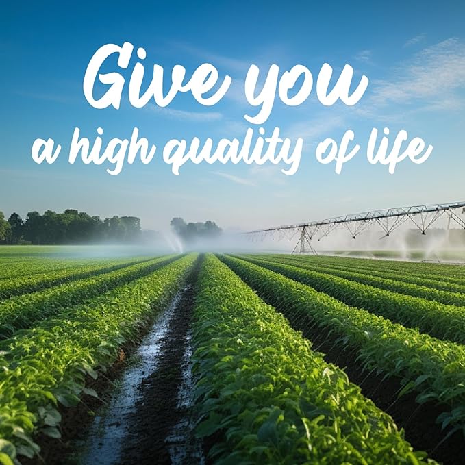 D&ampM 2 Pack 30 Count Skincare Support Supplement - Helps Digestion and Energy Production Maintains a Healthy Body Improves Skin Quality with Folic Acid Vitamin B1 B2 B7