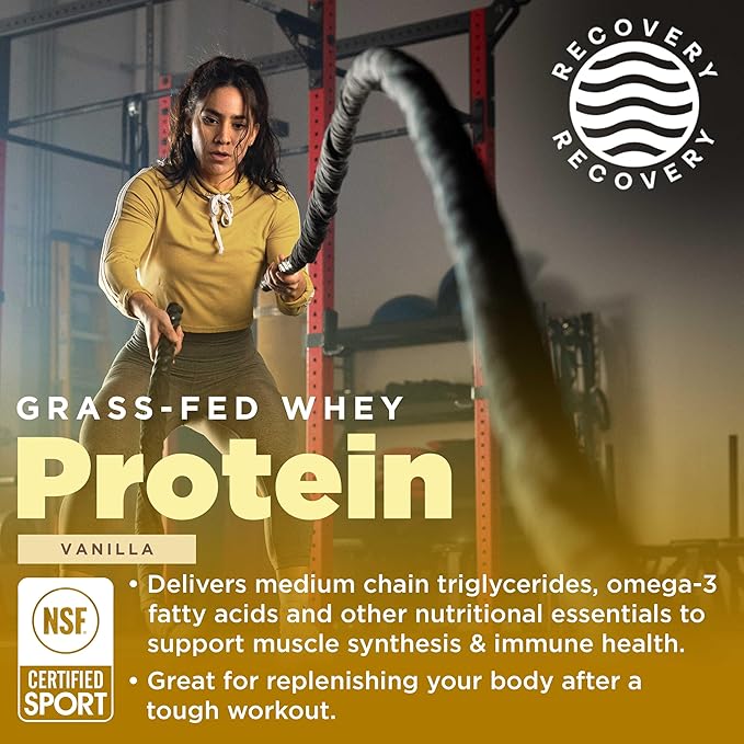 Gnarly Nutrition Performance Greens Blueberry Açai (11.64 oz) and Gnarly Whey Grass-Fed Protein Supplement Vanilla (32.0oz)
