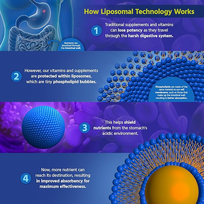 Core Med Science Liposomal ALC &amp R-ALA Supplement Capsules - Acetyl-L-Carnitine (900mg) &amp R-Alpha Lipoic Acid (75mg) - Promotes Energy &amp Focus - Supports Mental Function &amp Memory Cogni