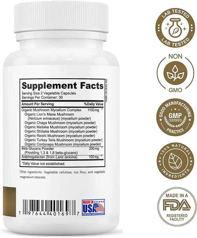 Brain Longevity Stack - ALA &amp ALC Complex + Adaptogen Complex + 7 Mushroom Complex + Brain Support + Magnesium Bisglycinate Bundle | Energy Focus Stress Support Immunity Cognitive Function