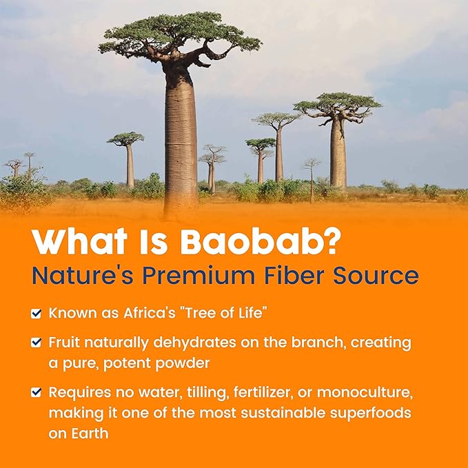 NativePath Organic Baobab Prebiotic Fiber Powder - Digestive Health Supplement - Natural Orange Flavor 30 Servings