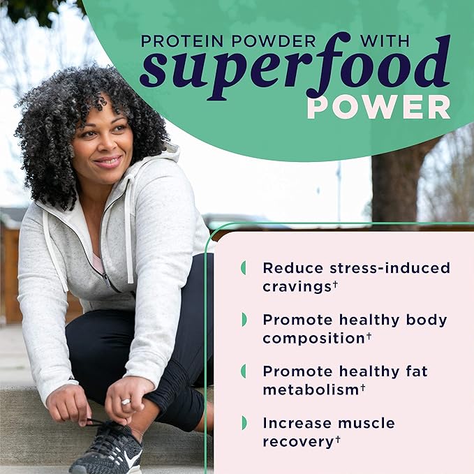Ancient Nutrition Plant Based Protein Powder Plant Protein+ Chocolate Organic Vegan Superfoods Supplement 15g Protein Per Serving Gluten Free Paleo Friendly 12 Serving