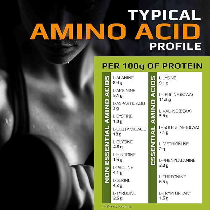 MFL Muscle Whey Protein 2 lbs l 26g of Protein l 8g BCAAs l 6g Glutamine l Low Carbs l 28 Servings (Chocolate Lava)