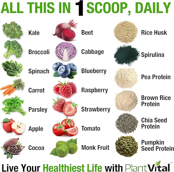 Plantvital Vegan Protein Powder Plant Based Organic Protein Powder Chocolate 24g/0g Sugar 12 Superfoods Veggies Probiotics Raw Cocoa Kale Beets Spirulina Pea Gluten-Free Keto-Friendly32oz