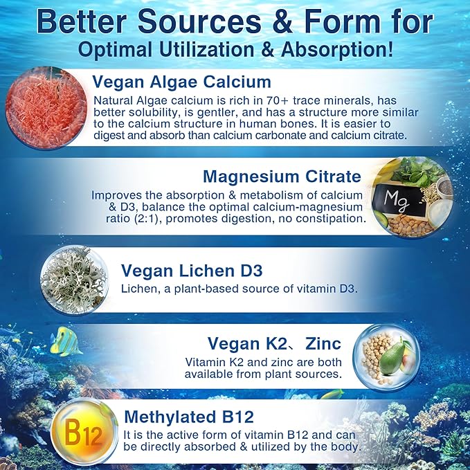 6-in-1 Plant Based Calcium Supplements for Women Men- Calcium 600mg w/ D3 K2 5000 IU Vitamin Liposomal &amp Algae Ca-lcium Magnesium Zinc + Vegan Vitamin D 5000 IU + K2 MK7 + Methyl B12 for Bone 1