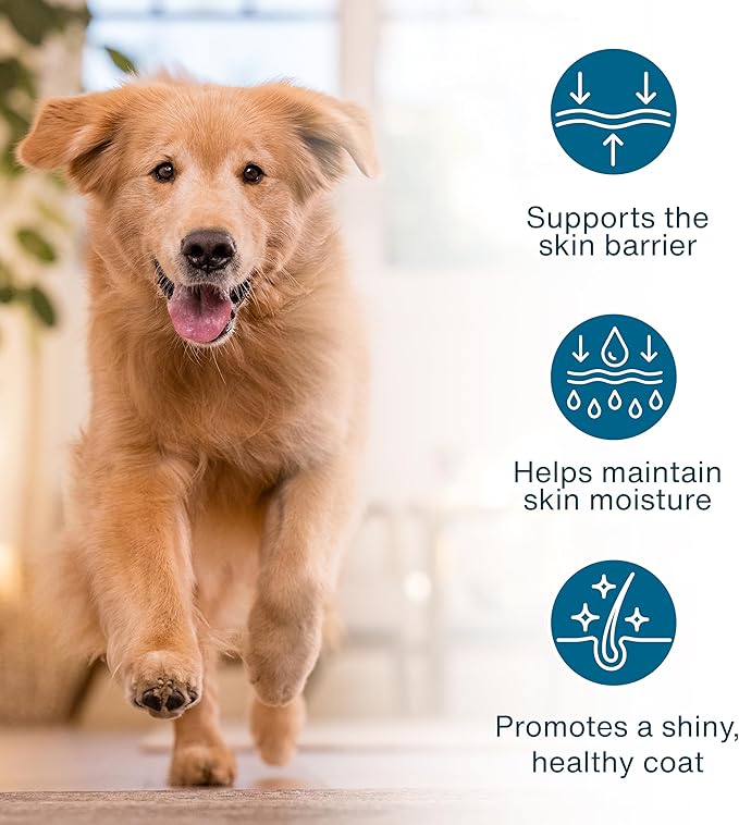 JustFoodForDogs JustFresh Boost Sensitive Skin Dog Food Topper for Immune Support and Healthy Coat Human-Grade Fresh Pet Meal Booster 8 oz Pouches - 8 Pack