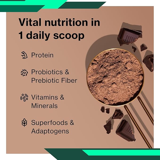 Zion Protein 100% Plant-Based Protein Powder Creamy Chocolated Fudge - 24g High Impact Plant Protein Low Net Carb No Lactose Ingredients for Shakes &amp Smoothies