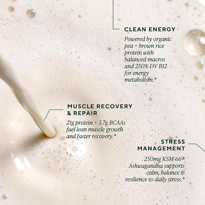 OM MUSHROOM SUPERFOOD Master Blend Vegan Protein – Organic Vanilla Plant Protein with 10 Mushrooms Ashwagandha BCAAs &amp B12 – Energy Recovery &amp Immune Support – 10 Single Serves