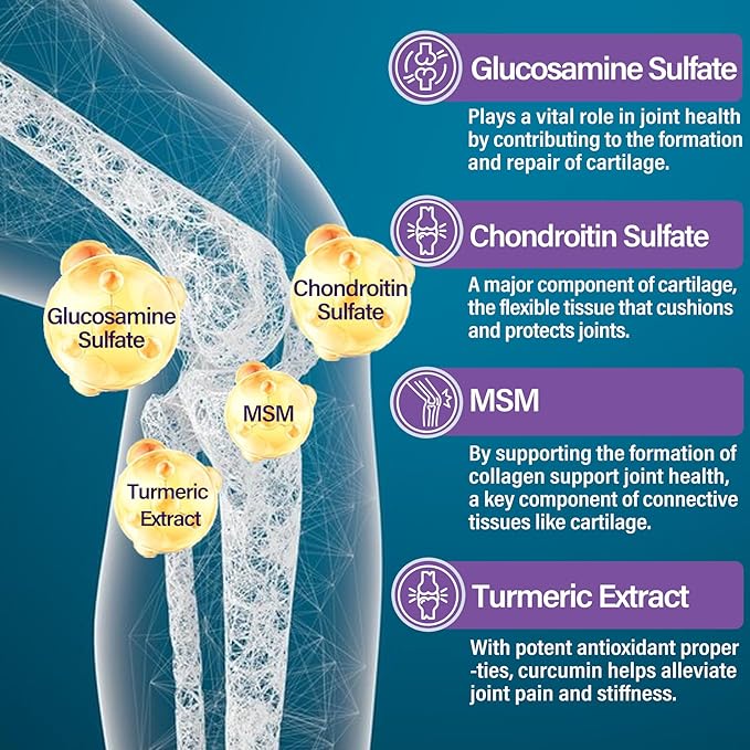 Bundle - Glucosamine Chondroitin MSM + Algae Calcium