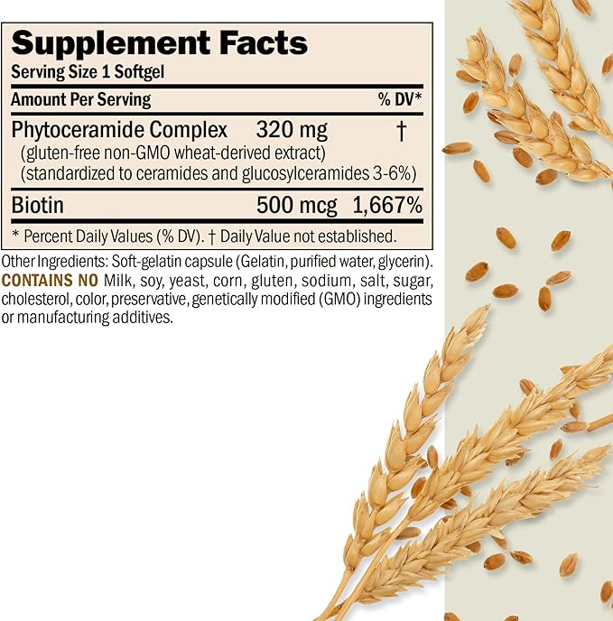 ANDREW LESSMAN Phytoceramides with Biotin 240 Softgels - Skin’s Vital Natural Internal Moisturizer. Naturally Enhances Soft Smooth Radiant Skin. No Additives. Small Easy to Swallow Softgels
