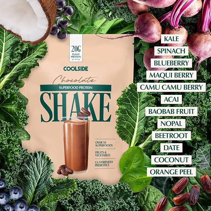 Coolside Superfood Plant Protein – 20g Smooth Seed Protein Blend – Prebiotic Fiber for Easy Digestion – Superfoods and Greens - Daily Wellness Shake for Health and Longevity - Chocolate