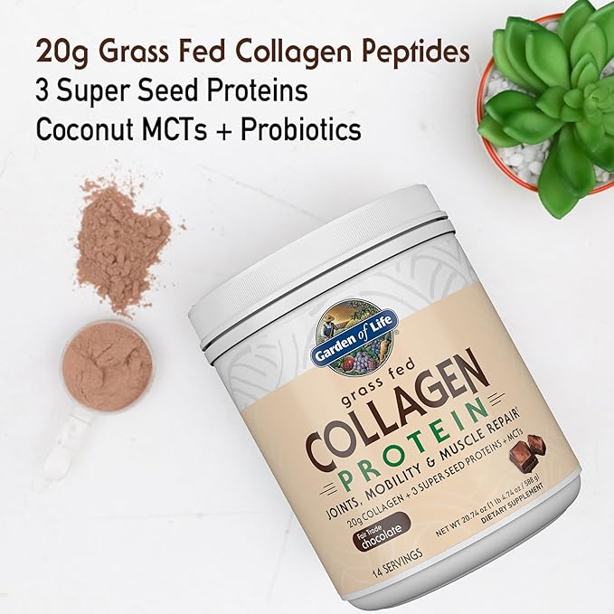 Garden of Life Grass Fed Collagen Protein Powder - Chocolate 14 Servings Powder for Joints Mobility Muscle Repair Collagen Peptides + Super Seeds + Coconut MCTs Keto Supplement