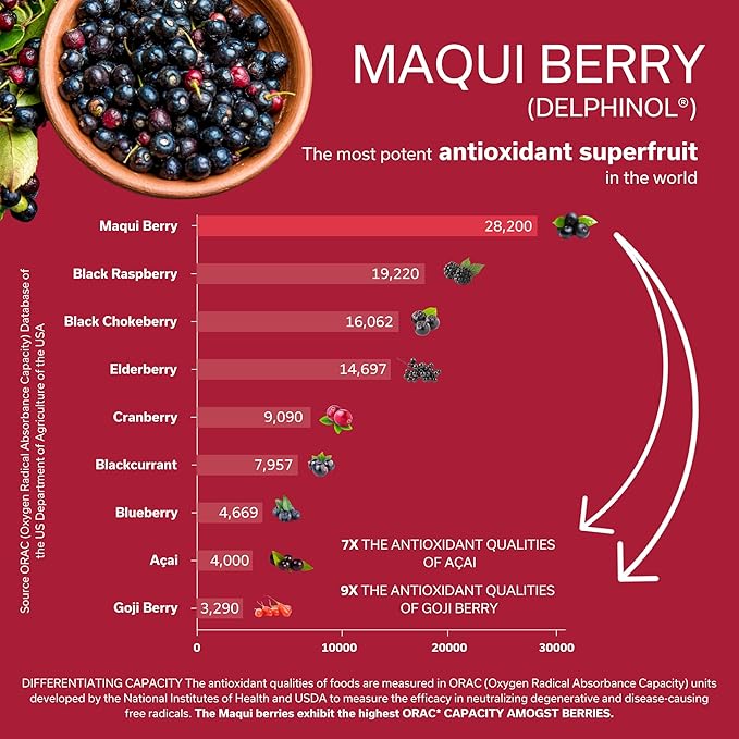 Daily Circulation | Super Antioxidants Supplement &amp Daily Circulatory Support | Maqui Berry (Delphinol) French Maritime Pine Bark (Pycnogenol) Ginger Root Extracts | 30 Servings