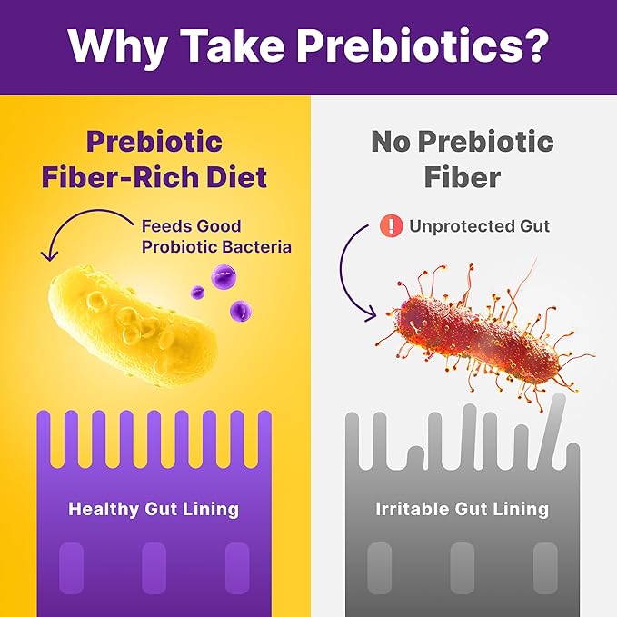 InnovixLabs Prebiotic Fiber Powder for Gut &amp Digestive Health High Fiber Supplement for Women and Men with Chicory Root FOS Acacia Inulin Soluble &amp Insoluble Fiber No Added Sugar 30-Day