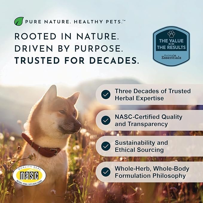 Animal Essentials Sea-Cal - Pure Seaweed Calcium Powder for Dogs with Magnesium Joint Supplement for Dogs &amp Cats for Healthy Bones &amp Teeth Joint Health Vegan Icelandic Seaweed Calcium - 12