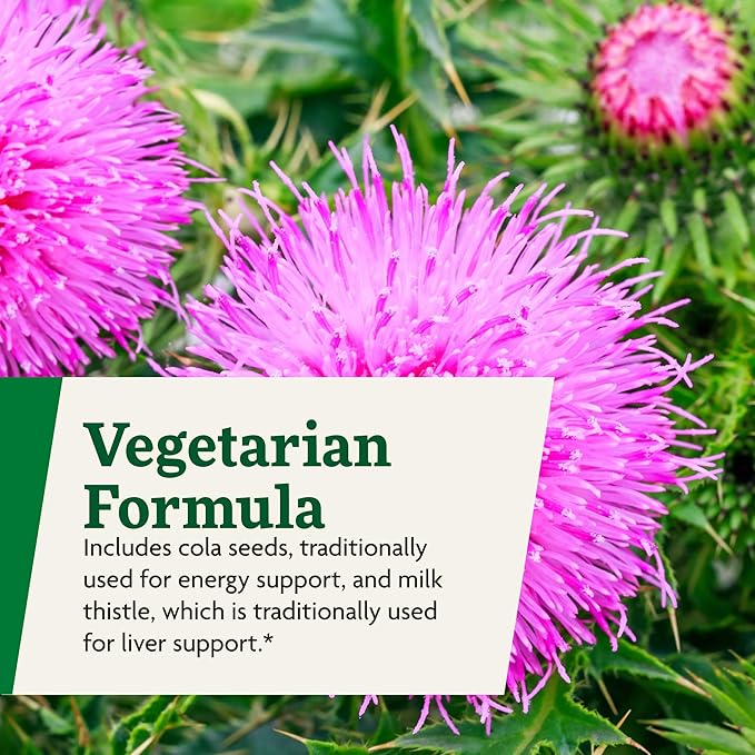 Floradix Epresat Adult Liquid Multivitamin - Herbal Supplement - Daily Supplement with Vitamin A D B6 Milk Thistle &amp More - Supports Energy &amp Liver Health - Vegetarian Non-GMO - 16.9 fl oz