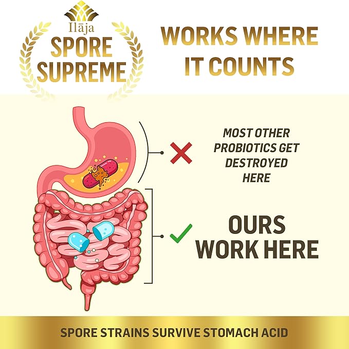 Spore Supreme Spore Based Probiotic 120 Capsule x 10 Billion / 4 Strain Formula - 4 Month Supply - No Refrigeration Needed Acid Resistant Strains Dairy Free