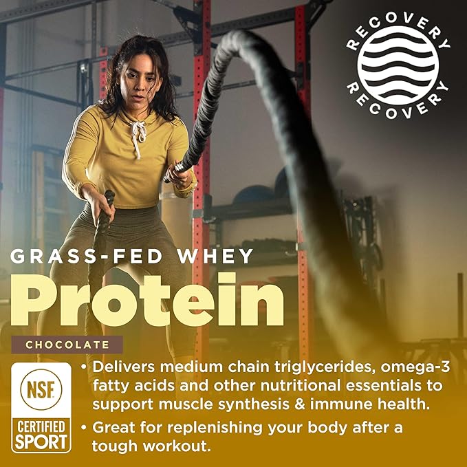 Gnarly Nutrition Chocolate Protein Powder – NSF Sport Certified – 25g Protein Muscle Repair – Grass Fed Whey Powder Smooth Taste – Chocolate 32 oz