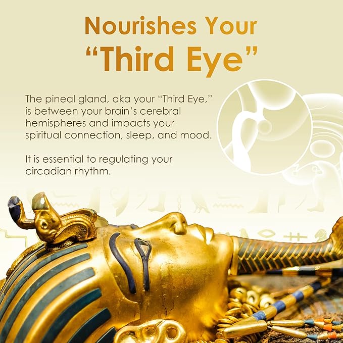 Ultra-Pure 99.9% Liquid Gold - 24K Monoatomic Gold Ormus - Third Eye Awakening Pineal Gland Decalcification Awaken DNA Unlock Light Speed Manifestation - Pharaoh's Nectar XT