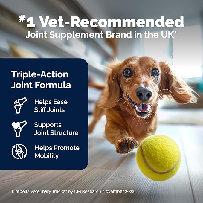 Yumove Hip &amp Joint Supplement for Dogs with Glucosamine Hyaluronic Acid Green Lipped Mussel &amp Omega 3 Joint Supplement - Regular or Advanced Strength (180 Count Advanced Vet Strength Soft C