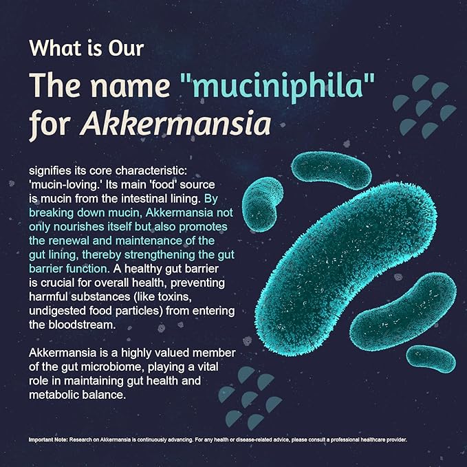 Akkermansia muciniphila 300 B TFU + Mulberry‑Leaf DNJ Extract + Chromium‑Enriched Yeast + Inulin Prebiotic – Vegan High‑Temp‑Stable Synbiotic for Health (30 Capsules)