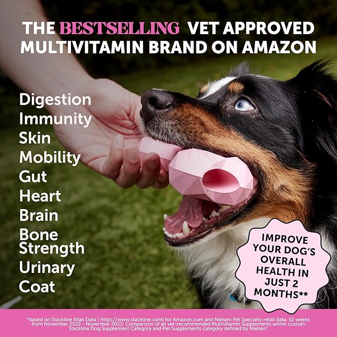 10-in-1 Dog Multivitamin Supplement with Glucosamine &amp Probiotics - Hip &amp Joint Support Digestive Health Immune Support Heart &amp Skin - All-in-One Daily Vitamins &amp Omega-3s for Dogs