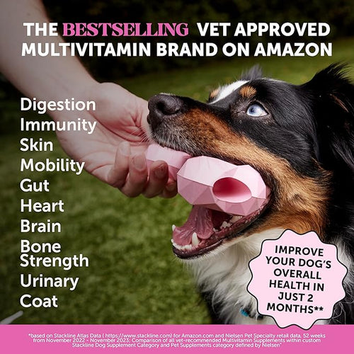 10-in-1 Dog Multivitamin Supplement with Glucosamine &amp Probiotics - Hip &amp Joint Support Digestive Health Immune Support Heart &amp Skin - All-in-One Daily Vitamins &amp Omega-3s for Dogs