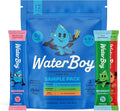 Waterboy Hydration Recovery Variety | 4-9x Electrolyte Powder Packets | Ginger + L-Theanine + L-Glutamine + Vitamins | No Sugar All Natural Gluten Free | 12 Drink Stick Mixes (Variety Pack)