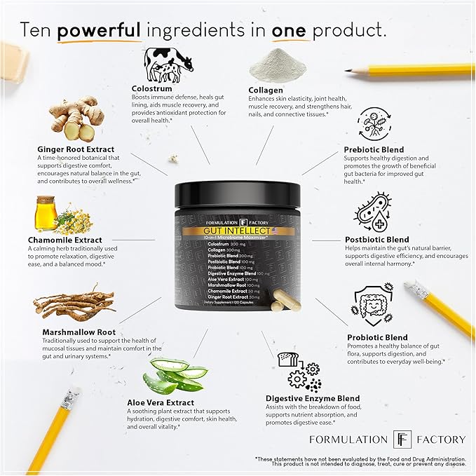 Formulation Factory Gut Intellect 10-in-1 Microbiome Supplement Prebiotics Probiotics Postbiotics Colostrum Collagen Aloe Vera Chamomile Ginger Enzymes Digestive 240 Caps (2 Pack)