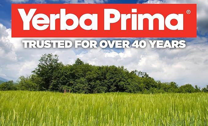 Yerba Prima Fiber Plus Senna Capsules 180 Count (3 Pack) - Gentle Overnight Relief USA Made Non-GMO Gluten-Free