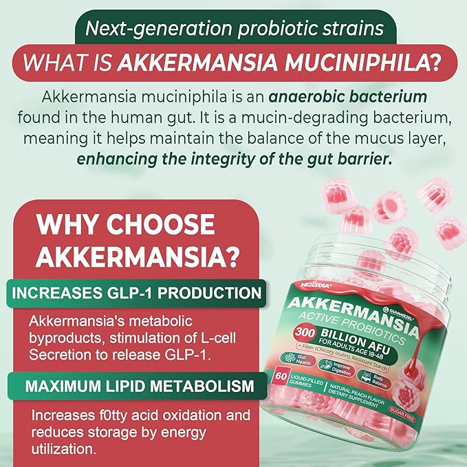 Akkermansia Probiotics Gummies with Prebiotics Fiber 300 Billion AFU Akkermansia Muciniphila with Polyphenol Fruits Resistant Starch Vitamin A D3 B2 for Metabolism Digestive &amp Gut Health 1Pa